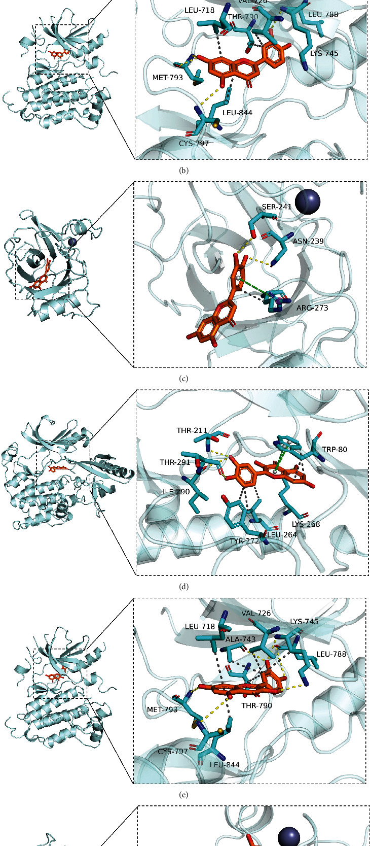 Figure 5