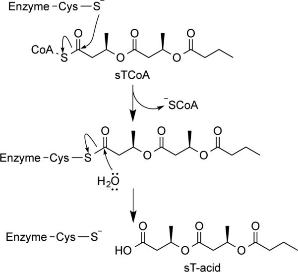 Scheme 2