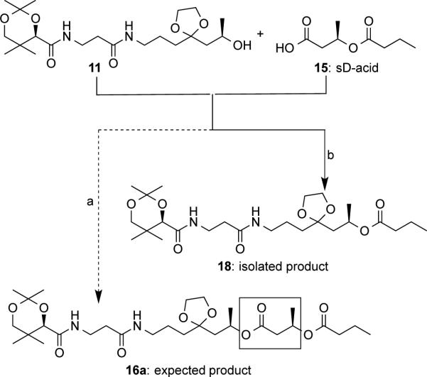 Scheme 4