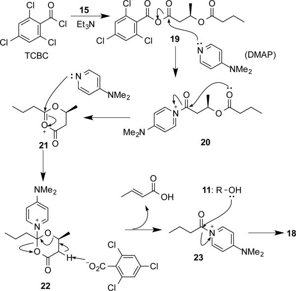 Scheme 5