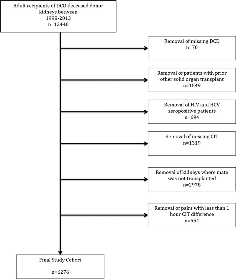 FIGURE 1