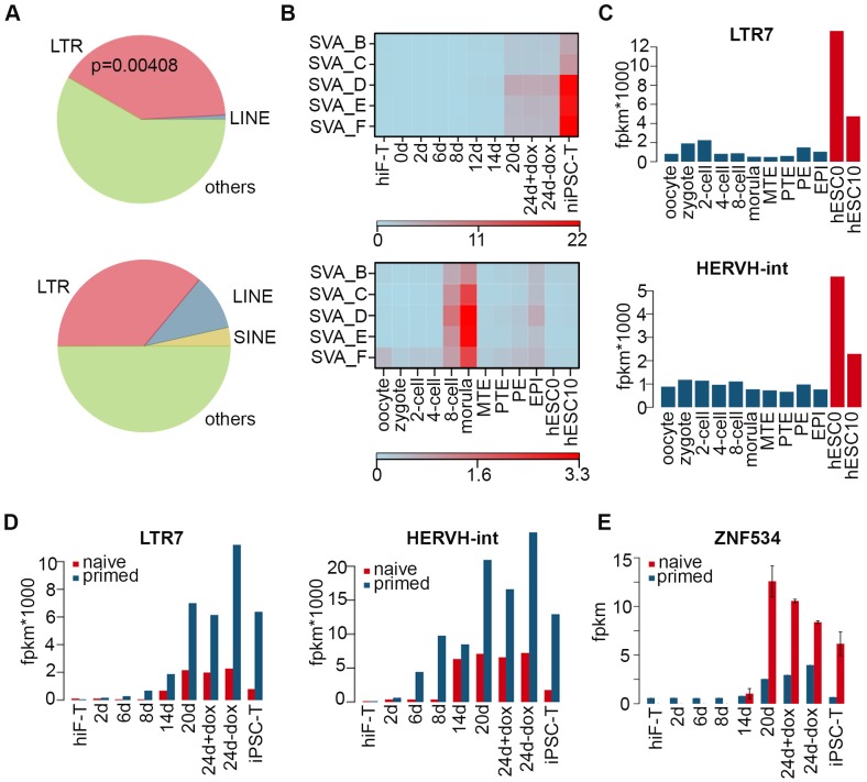 Figure 3—figure supplement 2.