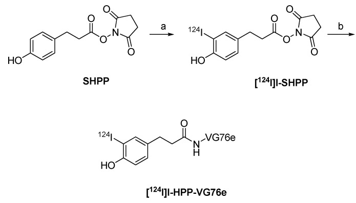 Scheme 13