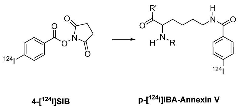 Scheme 15