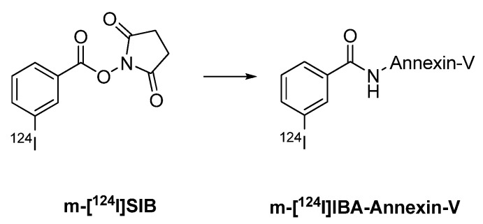 Scheme 14