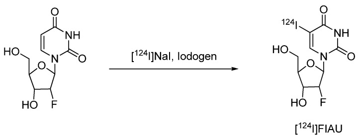 Scheme 7