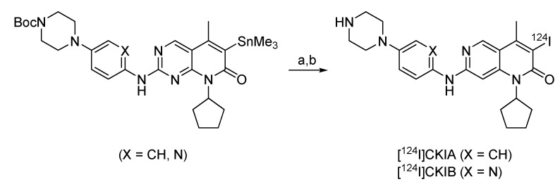 Scheme 12