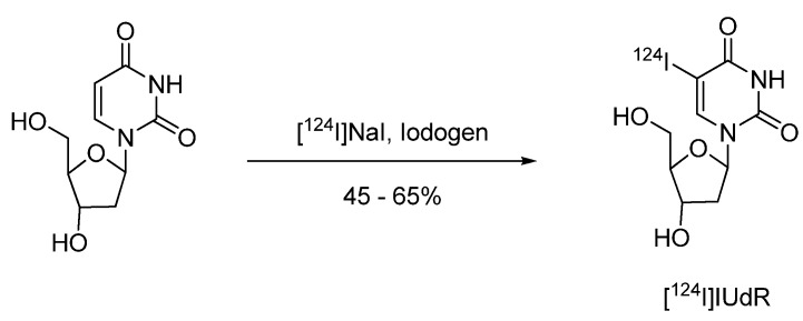 Scheme 5