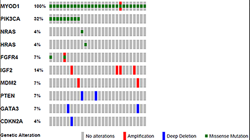 Figure 4: