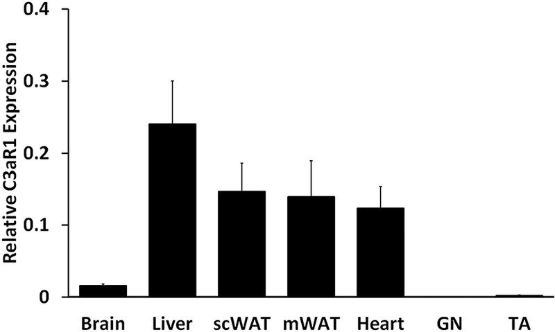 Figure 2: