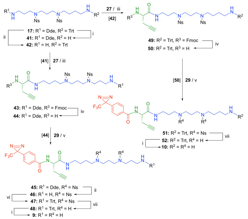 Scheme 3