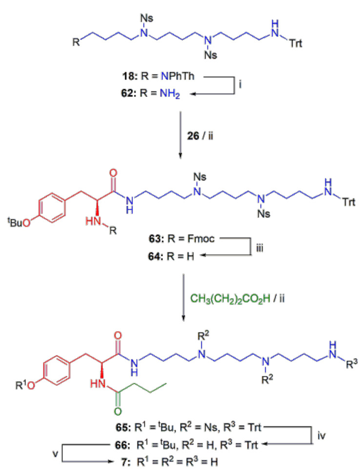 Scheme 5