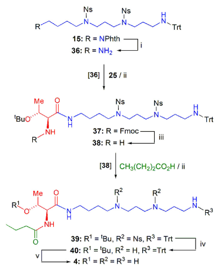 Scheme 2