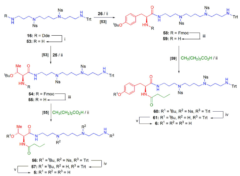 Scheme 4