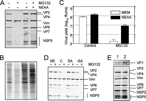 Fig. 3.