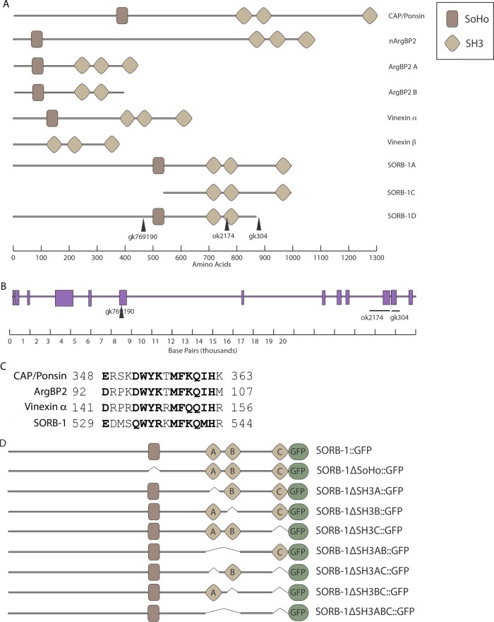 FIGURE 1: