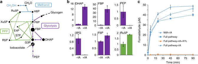 Fig. 3