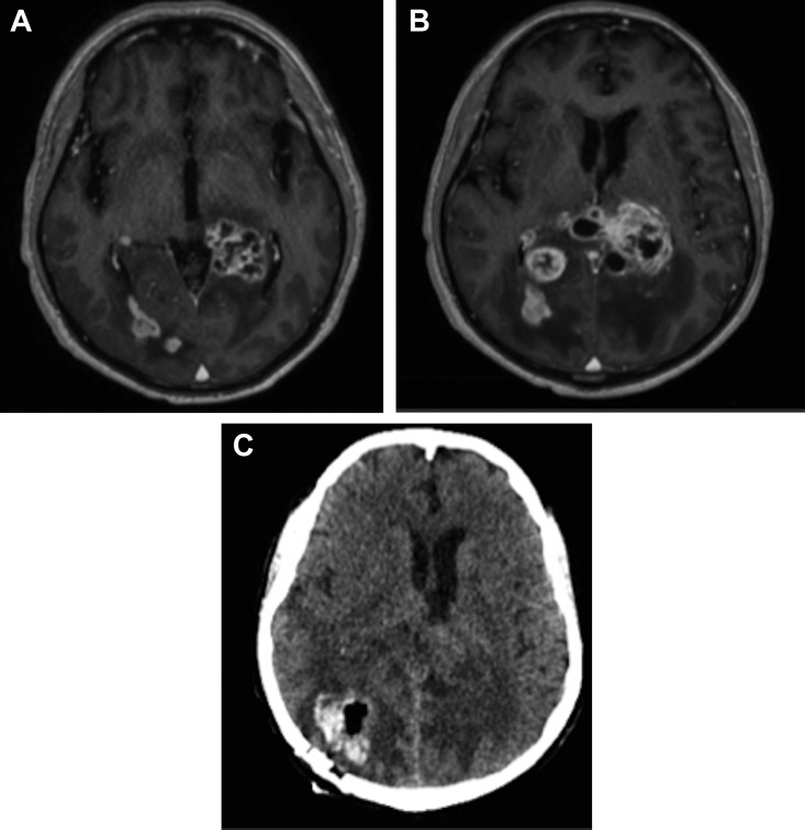 Figure 1