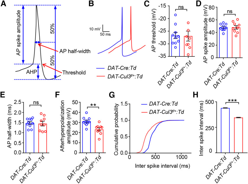 Figure 11.