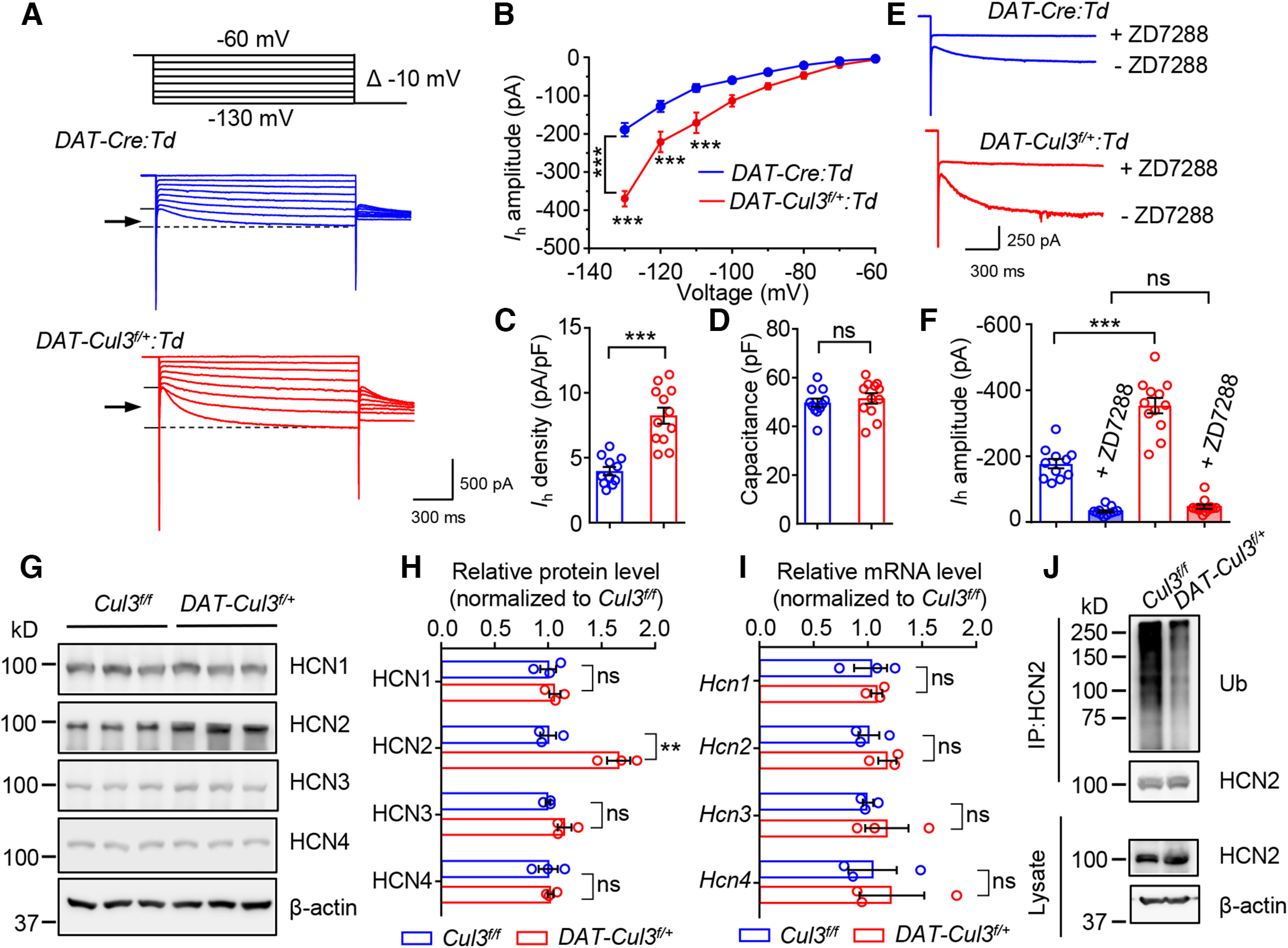 Figure 12.