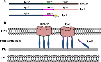 Fig 8