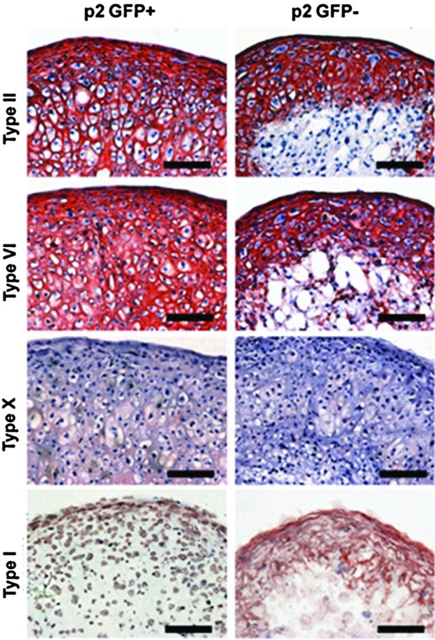 FIG. 7.