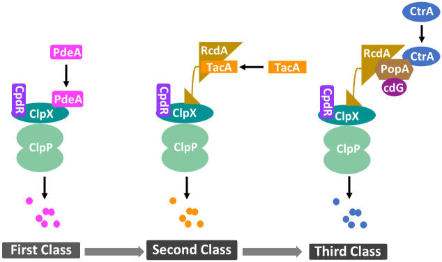 Fig 4