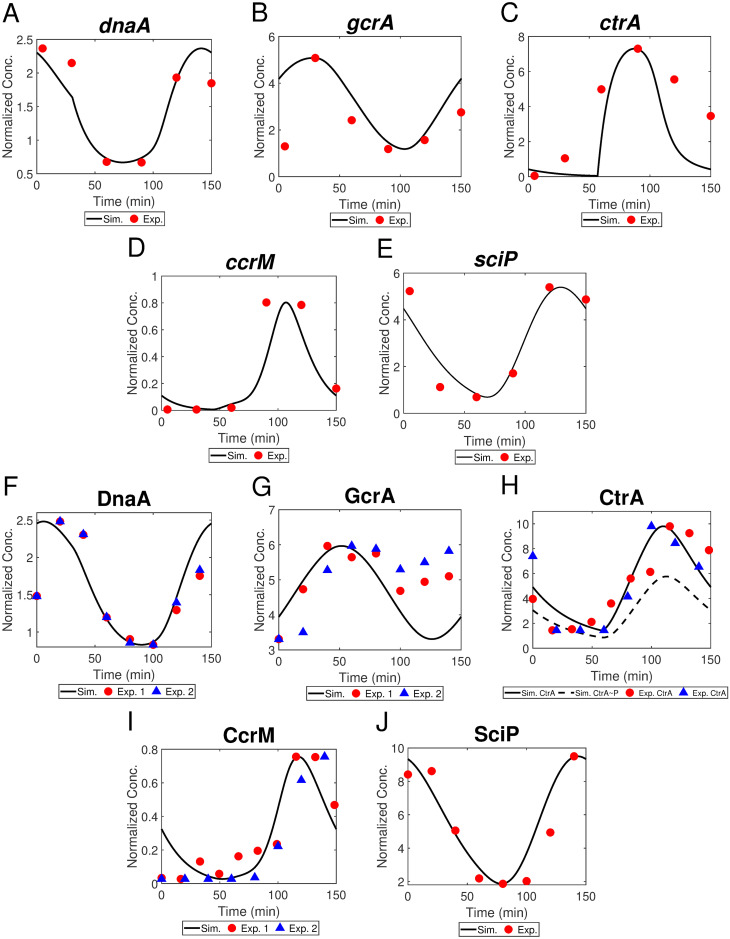 Fig 10