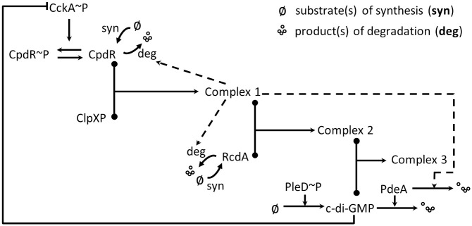 Fig 5