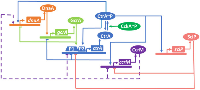 Fig 3