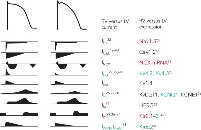 Figure 3: