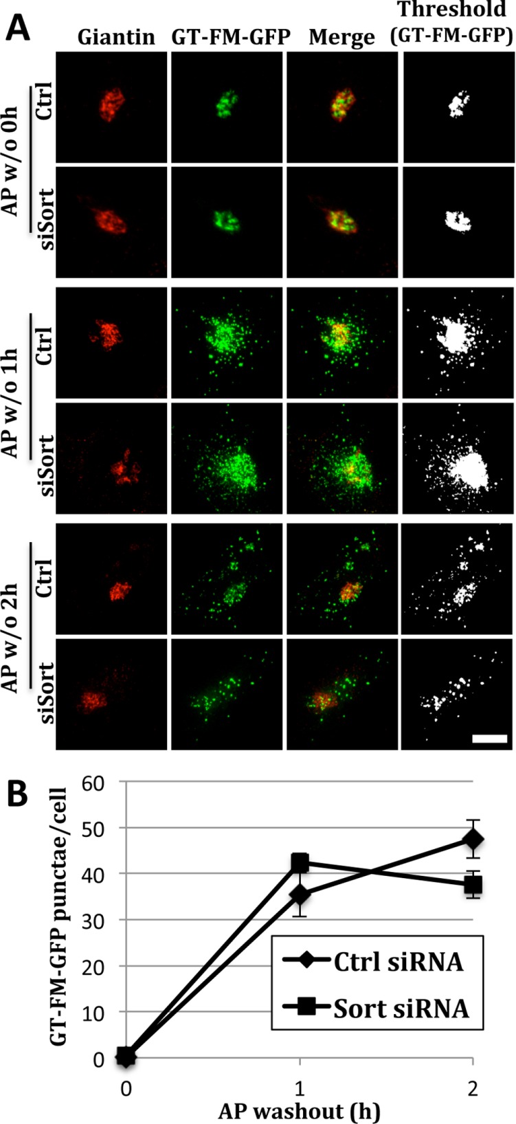 FIGURE 7: