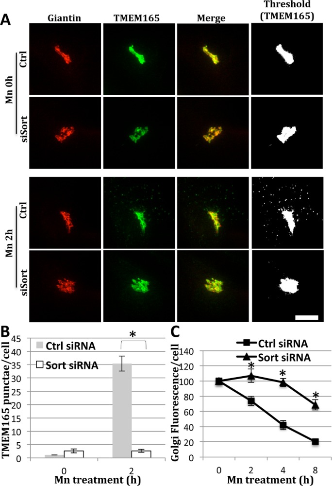 FIGURE 6: