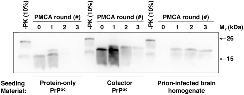 Fig 5