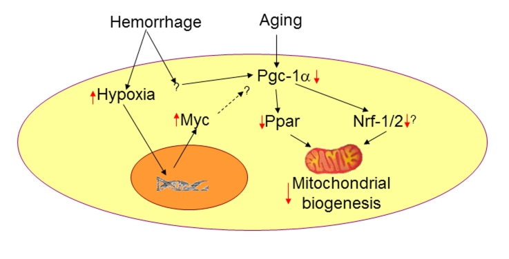 Figure 2: