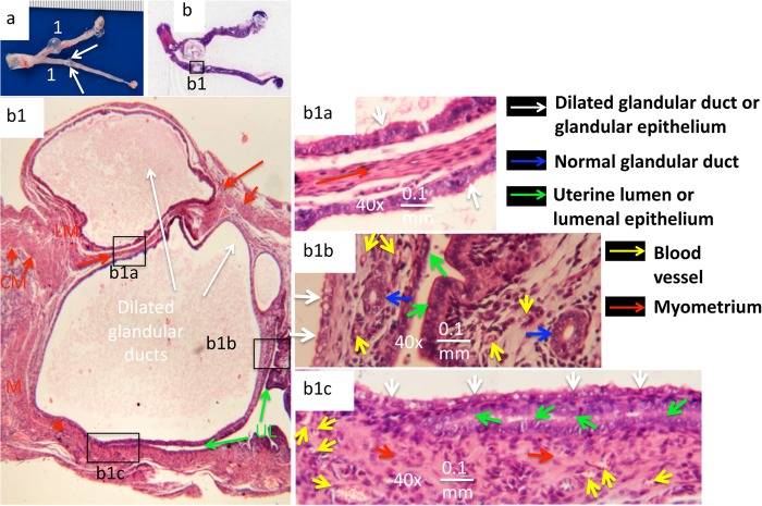 FIG 2