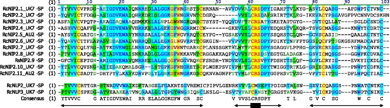 Fig. 12