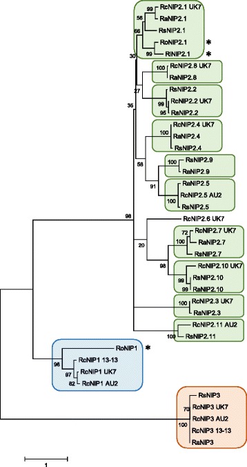 Fig. 11