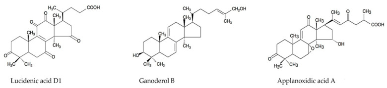 Figure 8