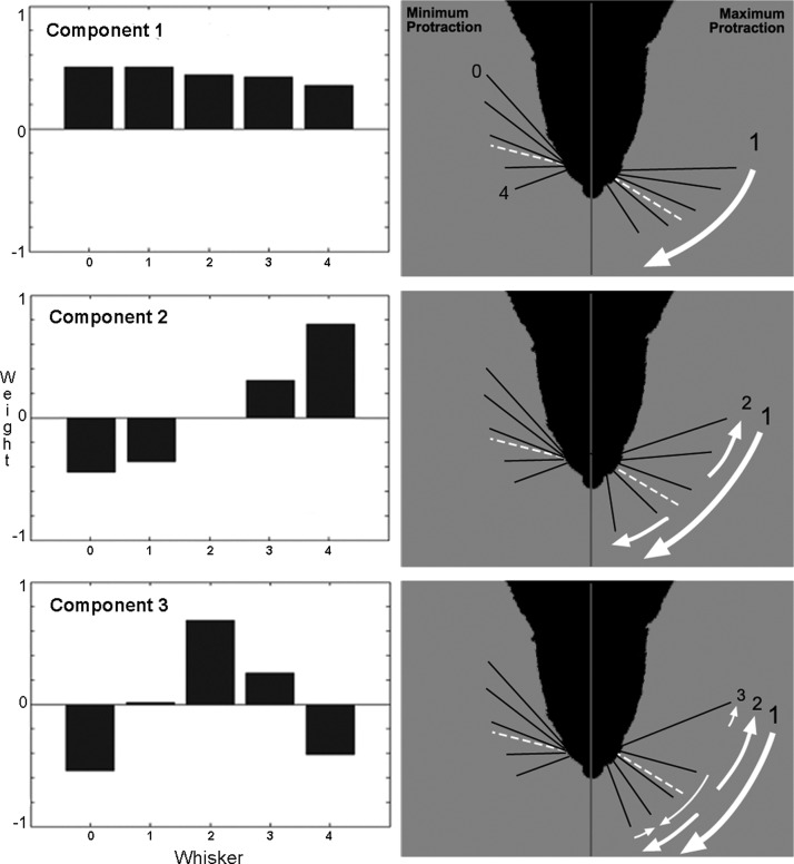 FIG. 1.