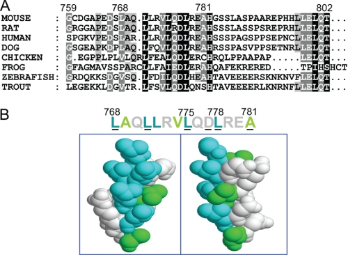 FIGURE 1.