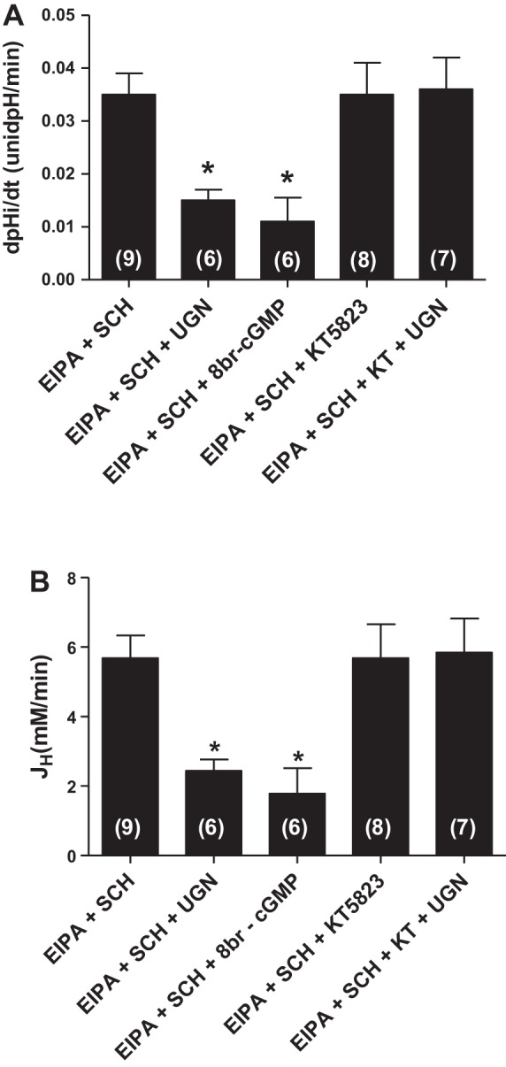 Fig. 6.