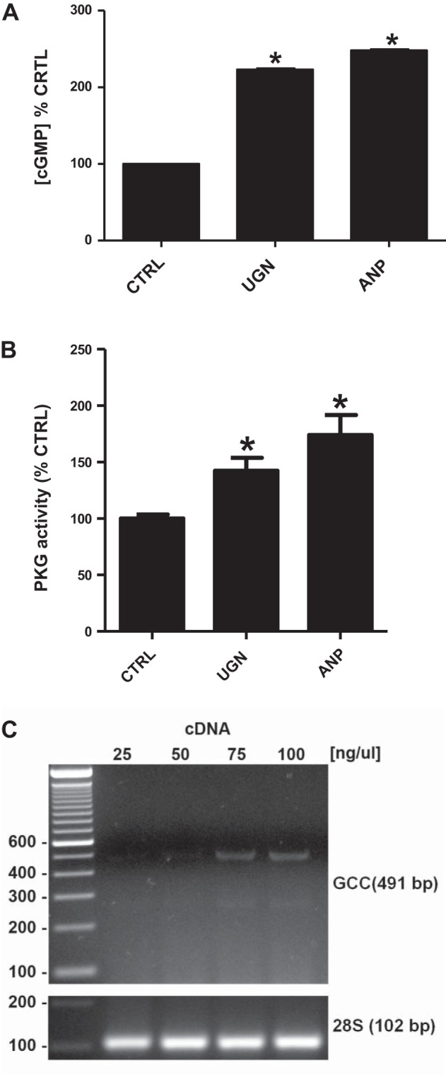 Fig. 7.