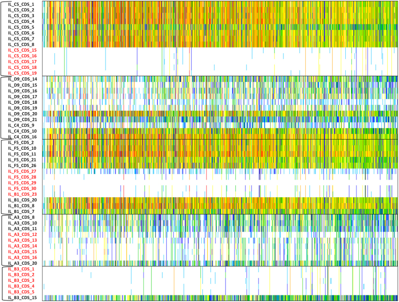 Figure 7