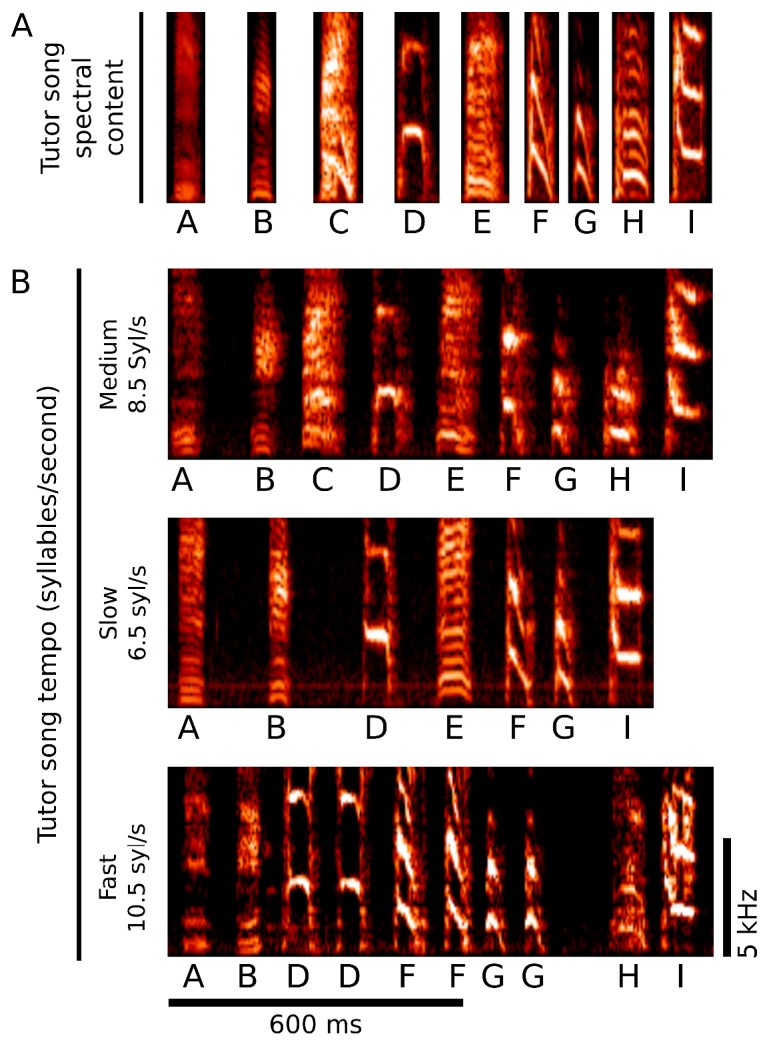 Figure 4—figure supplement 1.