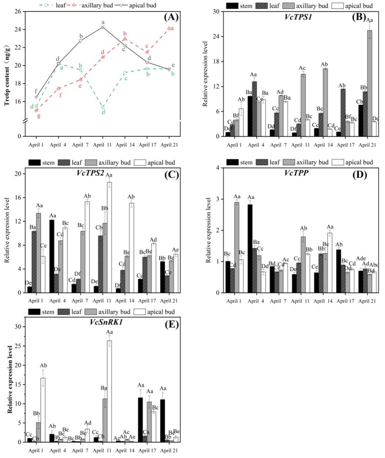 Figure 5