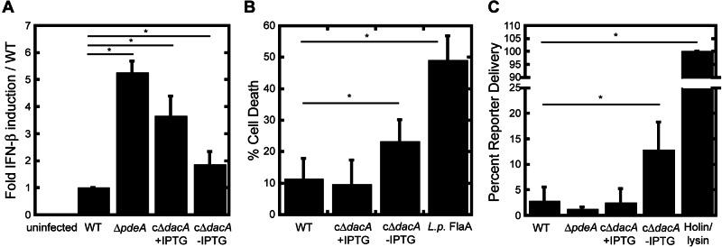 FIG 4 