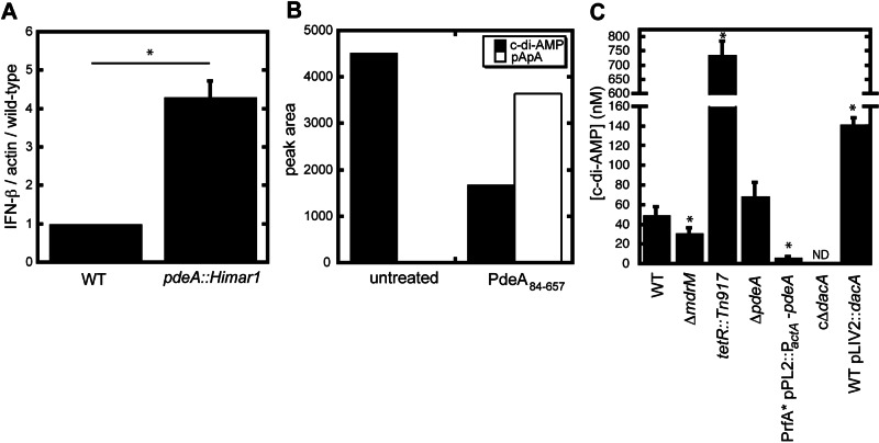 FIG 1 