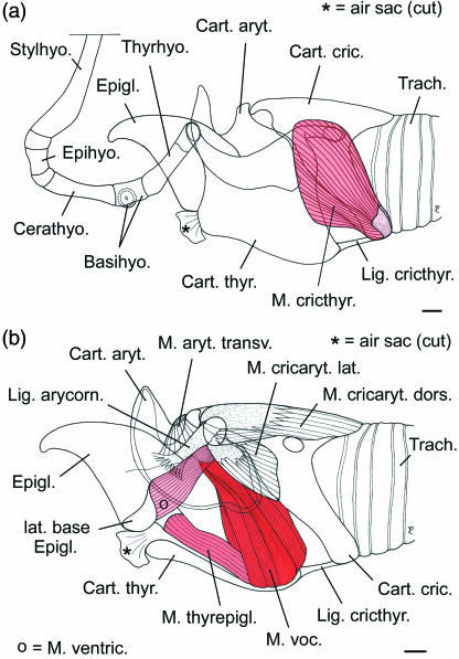 Fig 7