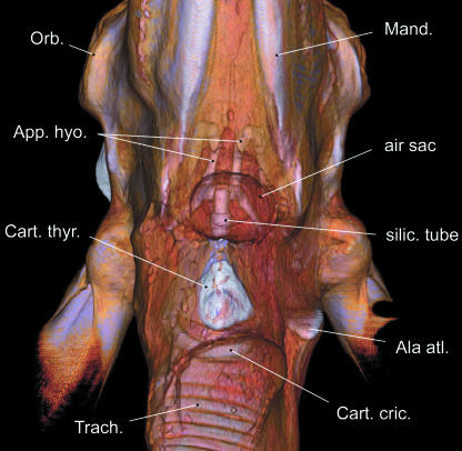 Fig 12